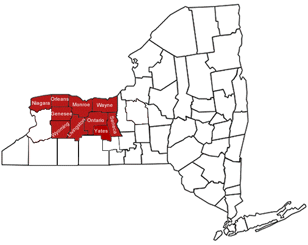 NWNY Team County Map
